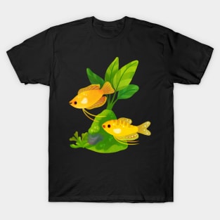 Freshwater fish and plants - Gourami T-Shirt